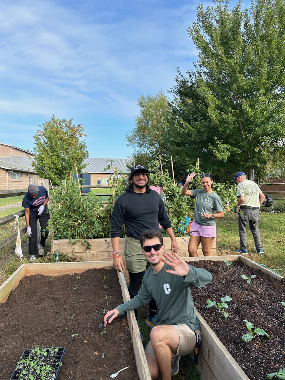 volunteers help plant seasonal vegetables at their community garden